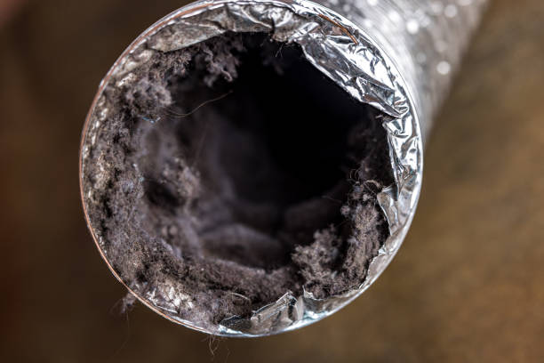 Best Air Vent Cleaning Services  in Madras, OR